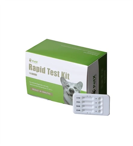 Adeno-Influenzavirus-Antigentest bei Hunden