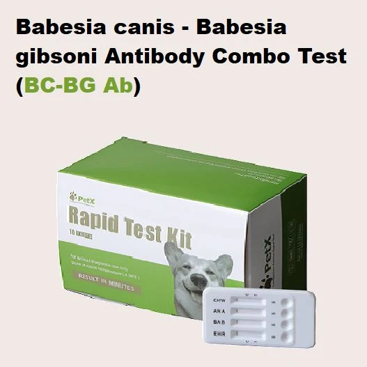 BC BG Combo-Test
